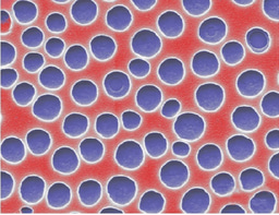 Journal Club | Printing Porous Structures