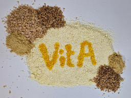 Exploring gari's potential as a vehicle for vitamin A delivery: a closer look at different fortification strategies