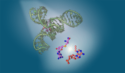Behind the scenes — from construct design to SAMURI 3D structures