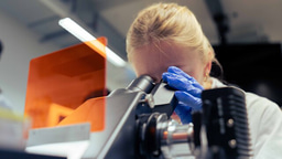 Summer Research Program 2026: Apply Now