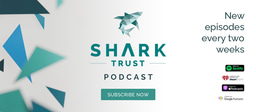 The Shark Trust Podcast