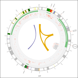Meta‑analysis of TCF7L2 and SLC30A8 gene polymorphisms concerning type 2 diabetes risk