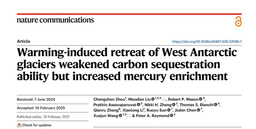 Warming May Weaken Carbon Sequestration in Southern Ocean Marginal Seas While Amplifying Mercury Accumulation