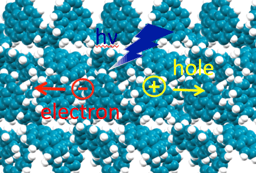 Journal Club | Singlet Fission in Crystalline Quaterrylene
