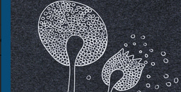 HIV/AIDS in Memory, Culture and Society   