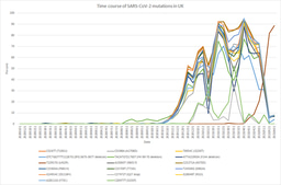 Real-time Evolution: Monitoring SARS-CoV-2 Mutations via the PED Algorithm
