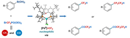 An Odyssey to explore palladium difluorocarbene involved catalytic cross-coupling reaction