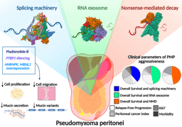 Uncovering splicing dysregulation in pseudomyxoma peritonei 