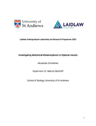 Report: Investigating Abdominal Metamorphosis in Dipteran Insects