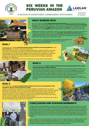 Six Weeks in the Peruvian Amazon