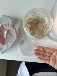 The Matter of Size - Week 3 