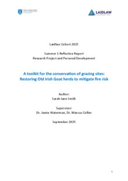 Reflective Report Essay