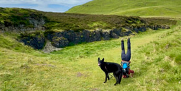 When research doesn't go to plan... again and again