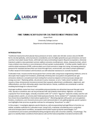 Fine Tuning Scaffolds For Cultivated Meat Production - Research Paper