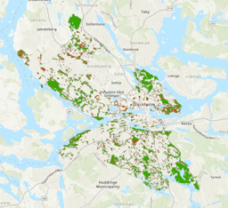 Flexibility in the Face of Failure: My Leadership Journey