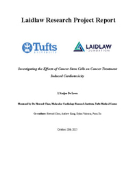 Laidlaw Research Project Report - Investigating the Effects of Cancer Stem Cells on Cancer Treatment Induced Cardiotoxicity