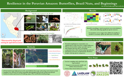 Patterns of Resilience: What Butterfly Communities Reveal About Forest Disturbance in the Peruvian Amazon