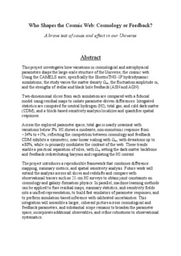 Research Proposal: Who Shapes the Cosmic Web (Cosmology or Feedback)?