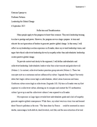 Leadership in Action Experience Essay