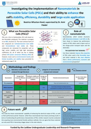 FINAL SUMMER 1 POSTER