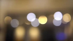 Aisha's Summer Research Reflection