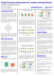 Ikigai Purpose Assessment for Leaders and Businesses - Poster