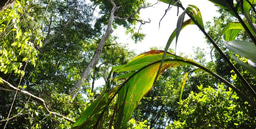 The risky lives of social animals