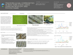 Laidlaw research poster 