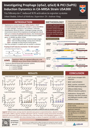 Research Poster: Investigating Mobile Genetic Element (MGE) Induction Dynamics in CA-MRSA, USA300