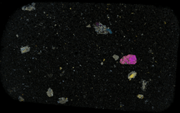 The course of research never does run smoothy!