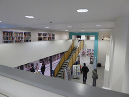 The U.S. Public Library System: The Third Space Impact on Children’s Wellbeing and Development 