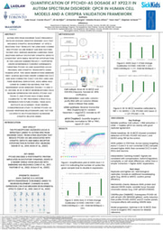 Summer Research Poster