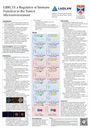 Laidlaw Research Poster 2025 - Grace S-S
