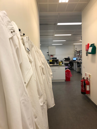 Life in the Laboratory (11/06/2025)