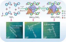Cation‑Disordered Rock‑Salt Lithium Titanium Oxyfluoride Anode Enabling High‑Rate Li‑Ion Storage Through a 3D Percolation Network