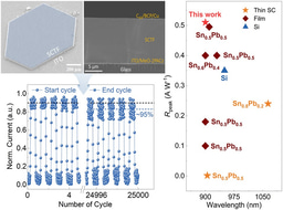 Monolithic Integration of Redox-Stable Sn–Pb Halide Perovskite Single-Crystalline Films for Durable Near-Infrared Photodetection