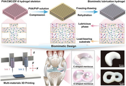 Biomimetic Gradient Lubrication Hydrogel Contrived by Self-Reinforced MOFs Nanoparticle Network