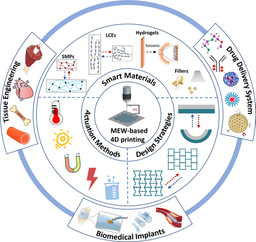 Rational Design and Functionalization of Melt Electrowritten 4D Scaffolds for Biomedical Applications