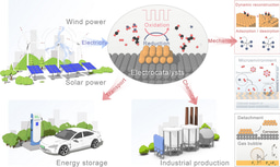 Pulsed Dynamic Water Electrolysis: Mass Transfer Enhancement, Microenvironment Regulation, and Hydrogen Production Optimization