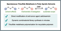Unusual Trisulfide Chemistry