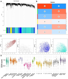 Analysis of microarray and single-cell RNA-seq identifies gene co-expression, cell–cell communication, and tumor environment associated with metabolite interconversion enzyme in prostate cancer