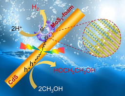 Preferential C-H Activation of Methanol and Selective C-C Coupling to Ethylene Glycol