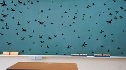 Why School Based Dengue Education Matters