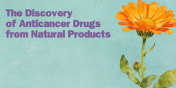  The Discovery of Anticancer Drugs from Natural Products