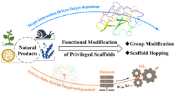 Artificial Intelligence for Structural Modification of Natural Products