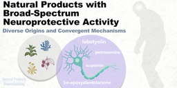 Natural Products with Broad-Spectrum Neuroprotective Activity: Diverse Origins and Convergent Mechanisms