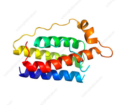 Salivary and serum leptin levels in oral lichen planus patients. A case control study