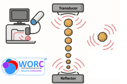 Acoustic Levitation: Building 3D Cell Structures Without Touching a Surface