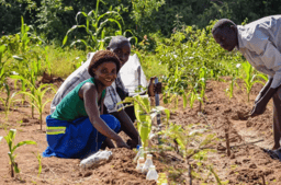 Community-led Land-Use Management Webinar with Sensing Clues: The Mponda Case