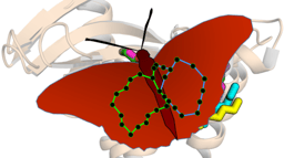 Antibiotic Design Inspired by Nature